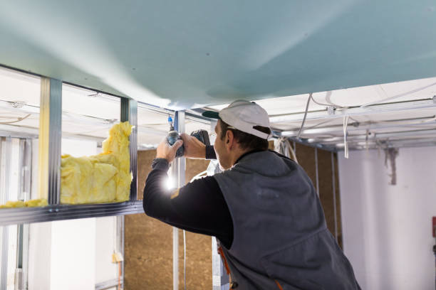 Best Residential Insulation in Berwyn Heights, MD
